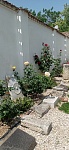 1685615187795.jpg