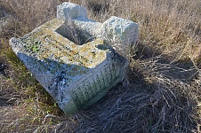 DSC_0010.JPG