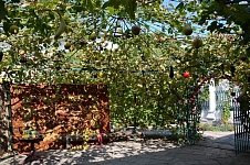 DSC_0010.JPG