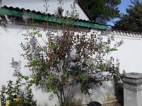 DSC_0002.jpg