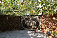 DSC_0001.JPG