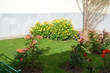 DSC_0001.JPG
