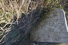 DSC_0005.jpg